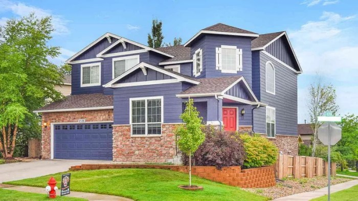 2025 Color Of The House – afuza.net 2025 Color Of The House – afuza.net